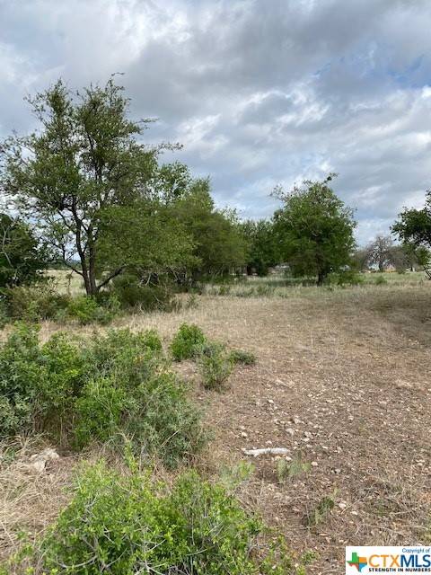 Kempner, TX 76539,TBD River Hills Ranches Lot 50