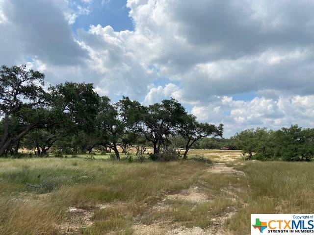 Bulverde, TX 78163,987 Maximino Ridge RD