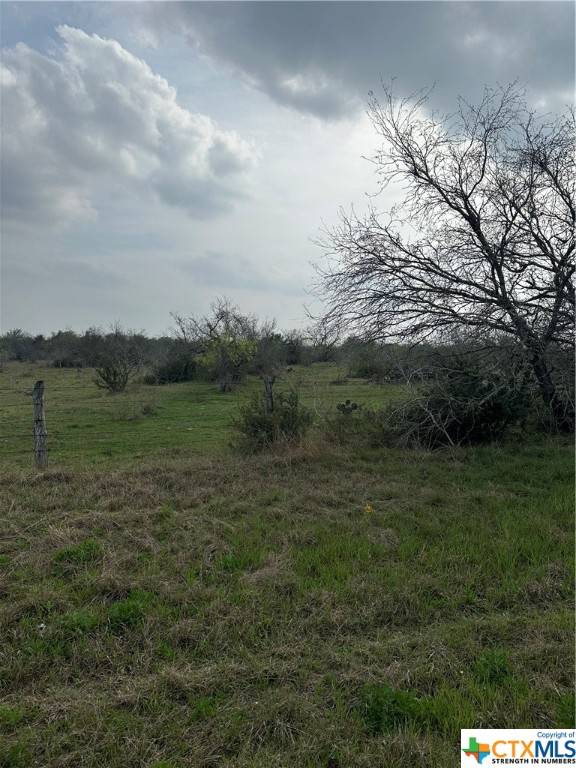 Stockdale, TX 78160,TBD Fm 1107