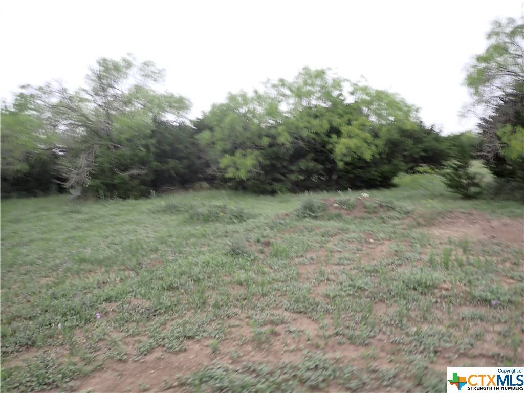 Lampasas, TX 76550,Lot 4 Dezina DR