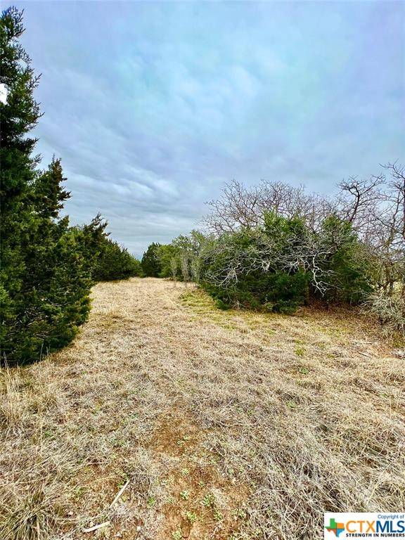 Killeen, TX 76542,8872 Trimmier RD