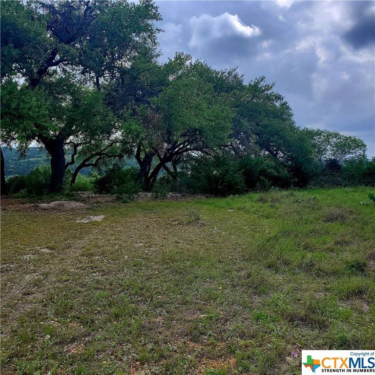 Spring Branch, TX 78070,336 Charon PT