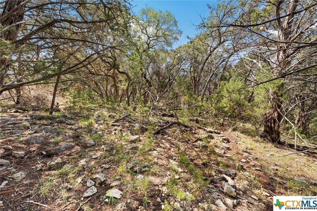 New Braunfels, TX 78132,1485 Stahlman WAY