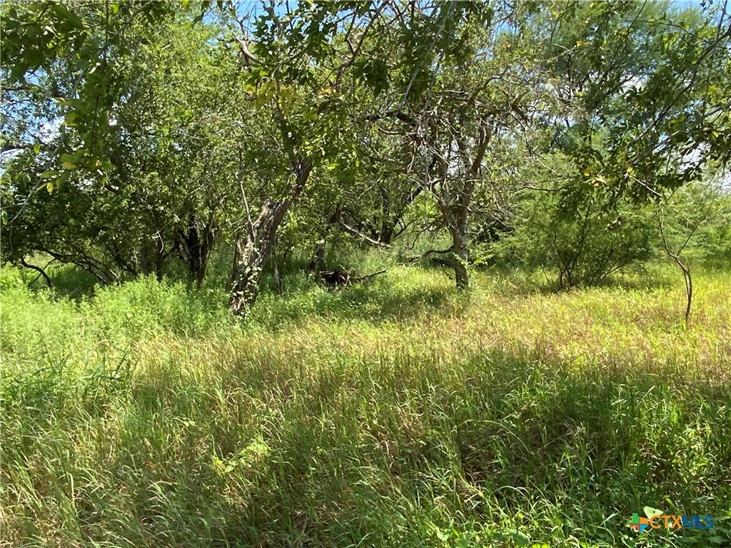 Sinton, TX 78387,TBD CR 1144 and CR 1196