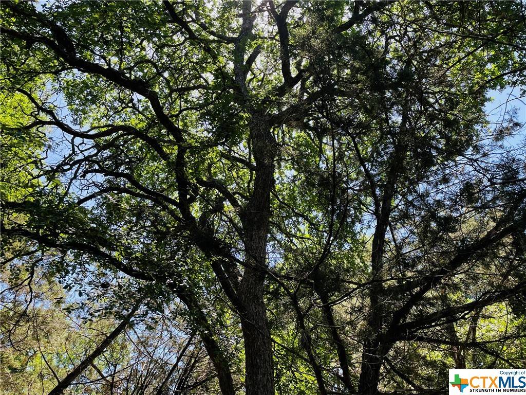 Wimberley, TX 78676,29 Country Place DR