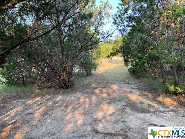 Canyon Lake, TX 78133,1533 Desiree ST