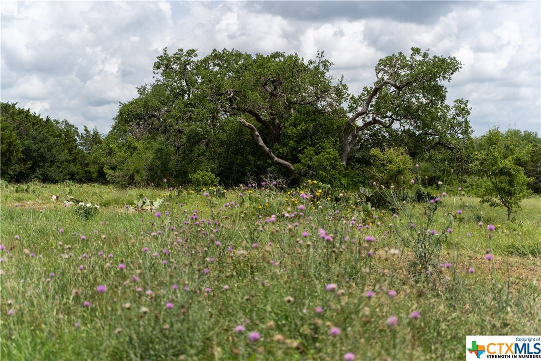 Salado, TX 76571,12291 Crows Ranch Rd
