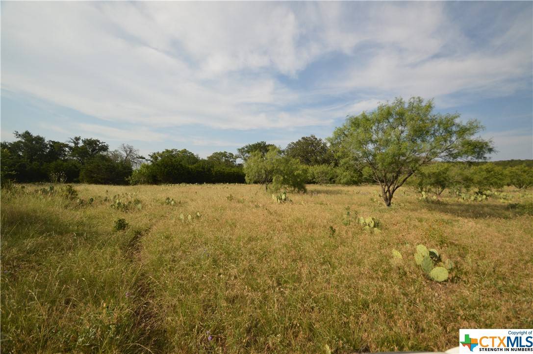 Lometa, TX 76853,17426 US Highway 183