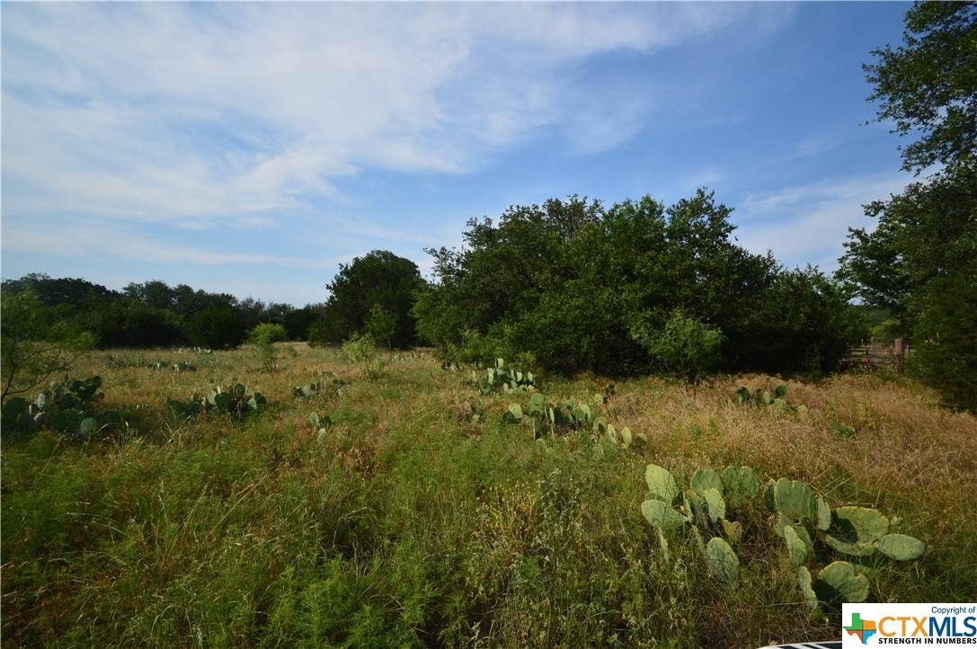 Lometa, TX 76853,17426 US Highway 183