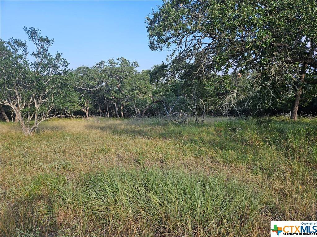 New Braunfels, TX 78132,338 Hidden Pointe