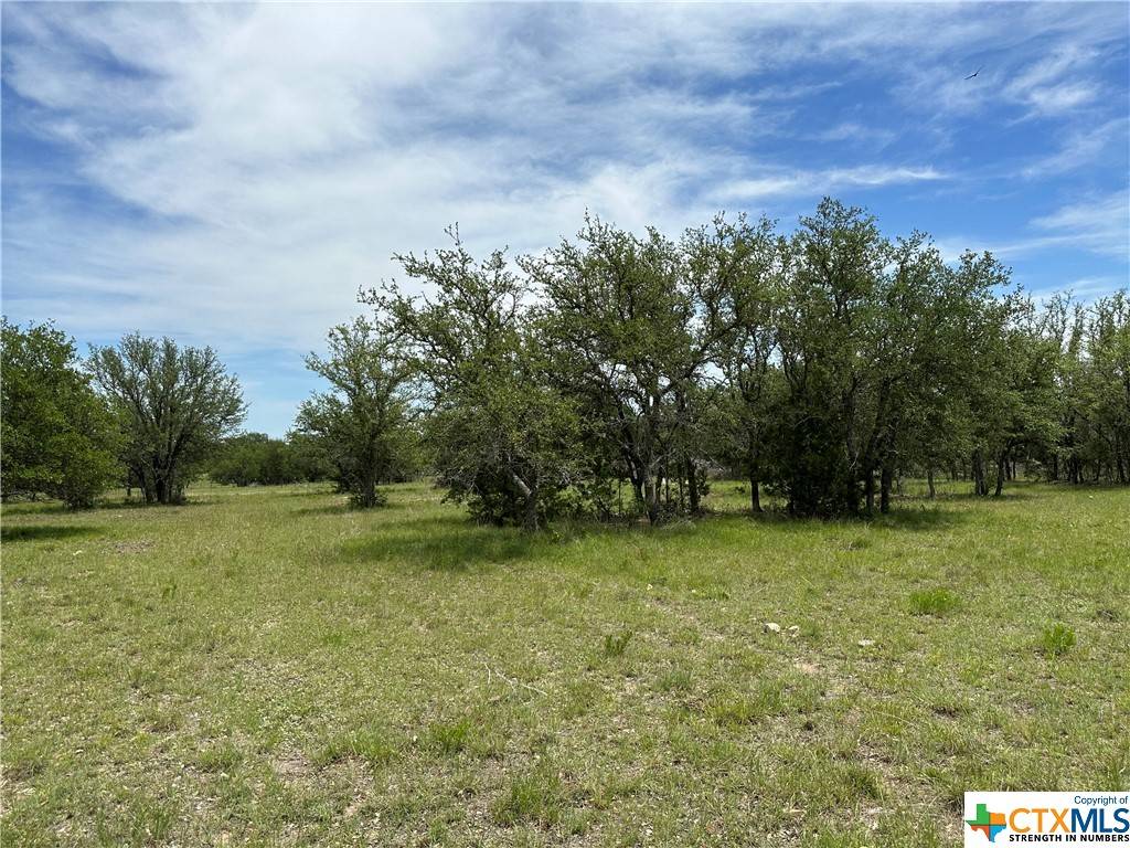 Briggs, TX 78608,Tract 58C-6 Bryce Trail
