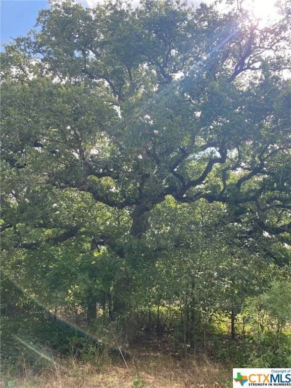 Axtell, TX 76624,340 Raceway RD