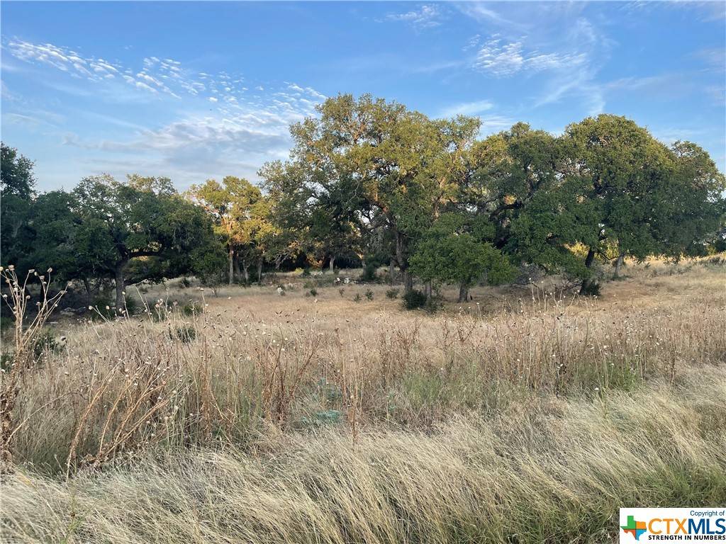 Spring Branch, TX 78070,2841 Campestres