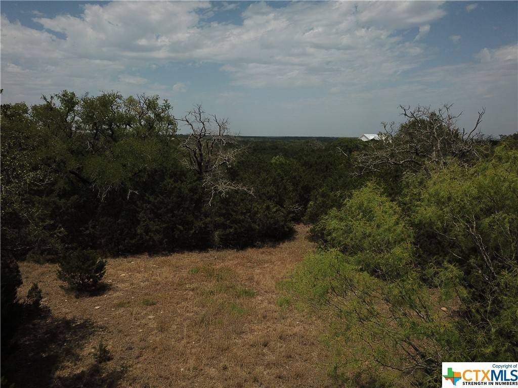 Evant, TX 76525,TBD PR 4219 Lot 94