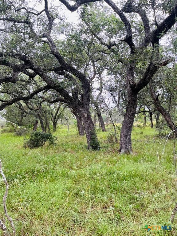 Cuero, TX 77954,000 Rocky Rd