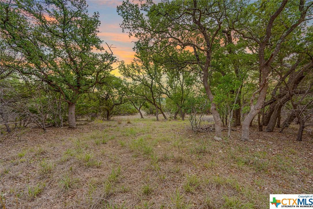 Canyon Lake, TX 78133,1014 Malbec LOOP