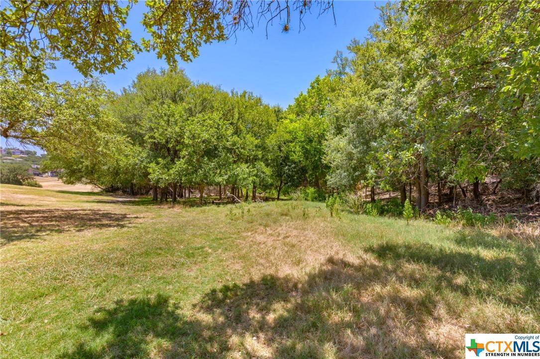 Lago Vista, TX 78645,21465 Lakefront DR