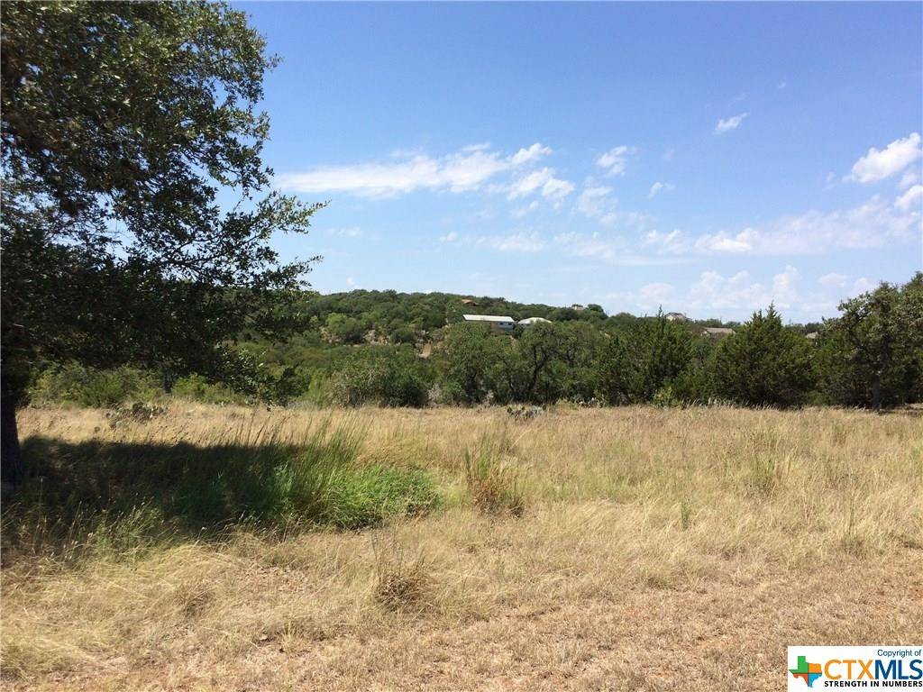 Canyon Lake, TX 78133,991 Kings Cove DR