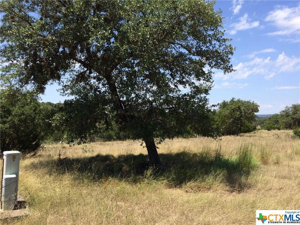 Canyon Lake, TX 78133,991 Kings Cove DR