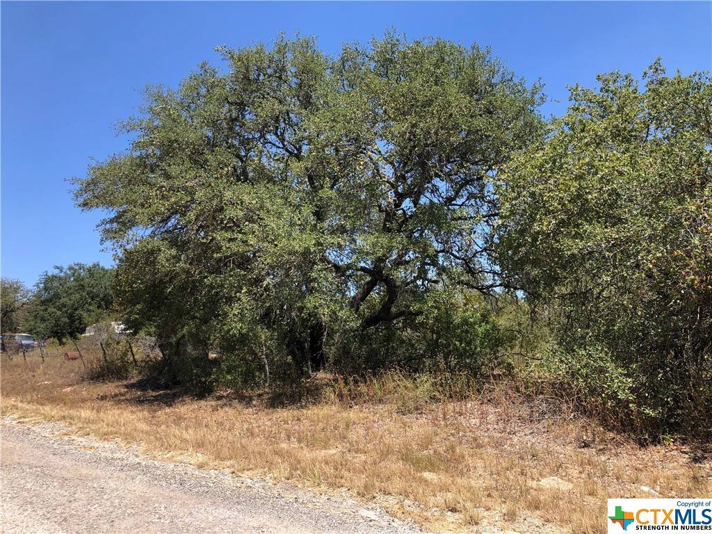 Poteet, TX 78065,TBD Woodland Hills