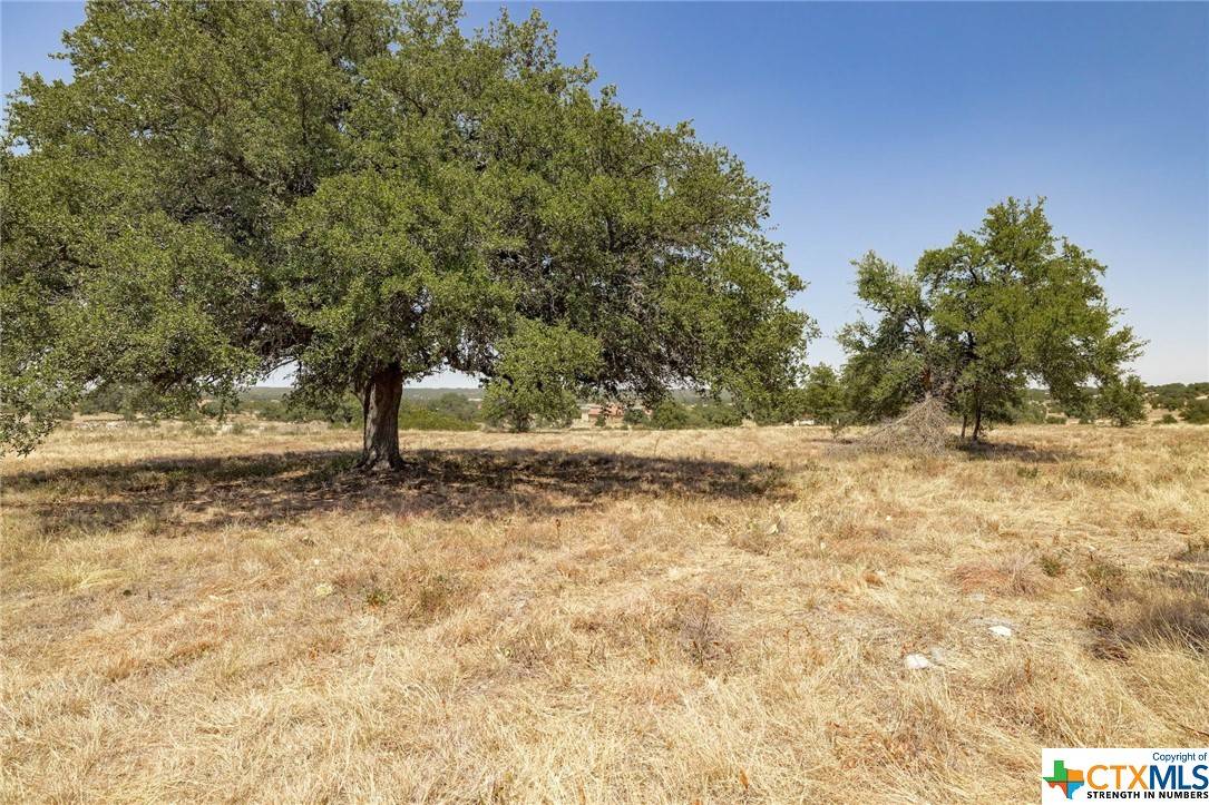 Florence, TX 76527,301 Strada Luca