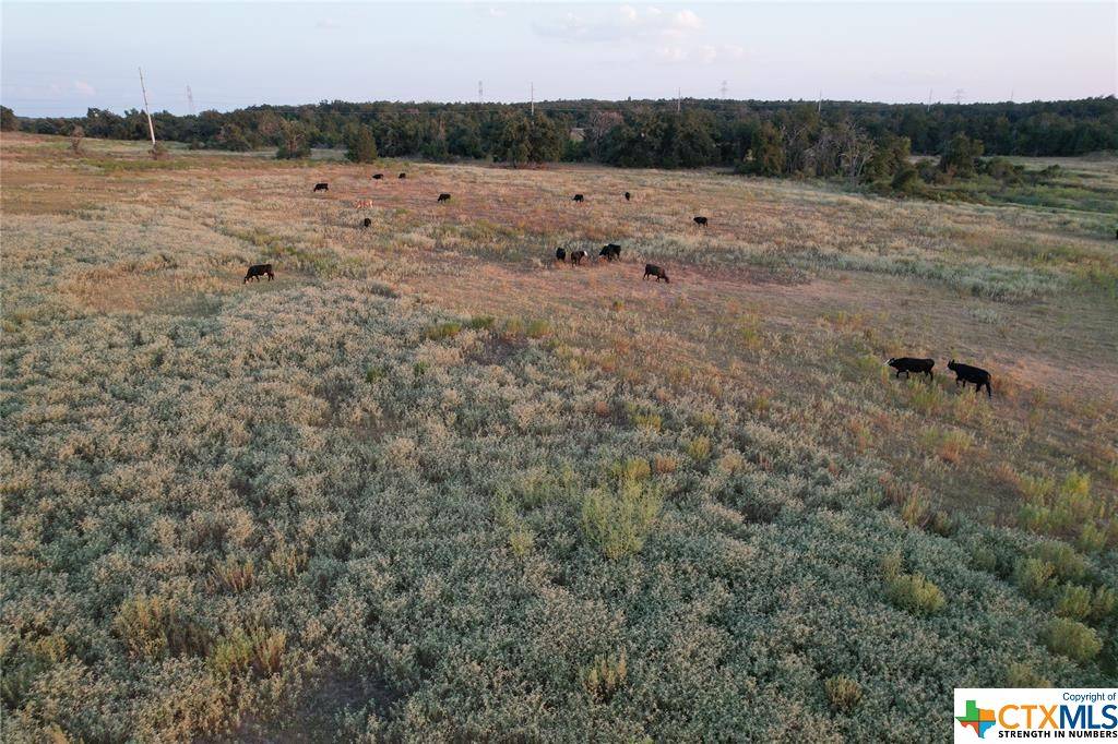 Thorndale, TX 76577,TBD TRACT 4 County Road 449