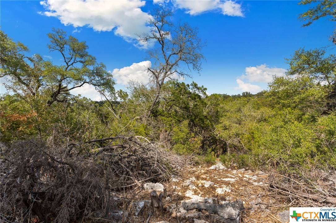 New Braunfels, TX 78132,1472 Stahlman WAY