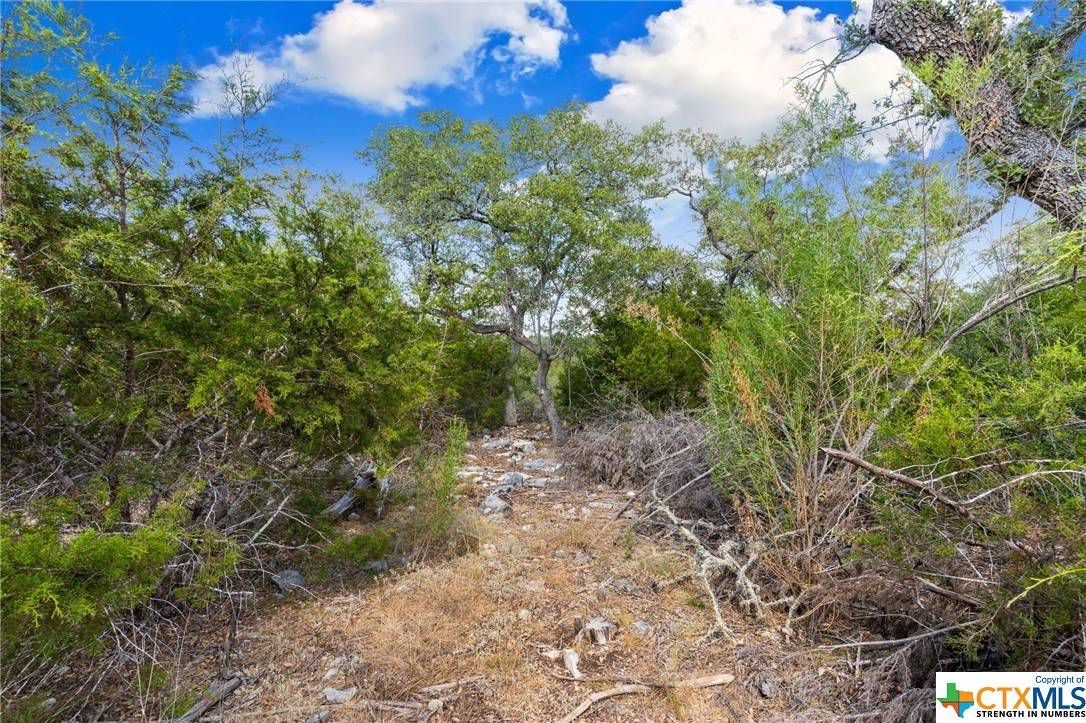 New Braunfels, TX 78132,1472 Stahlman WAY