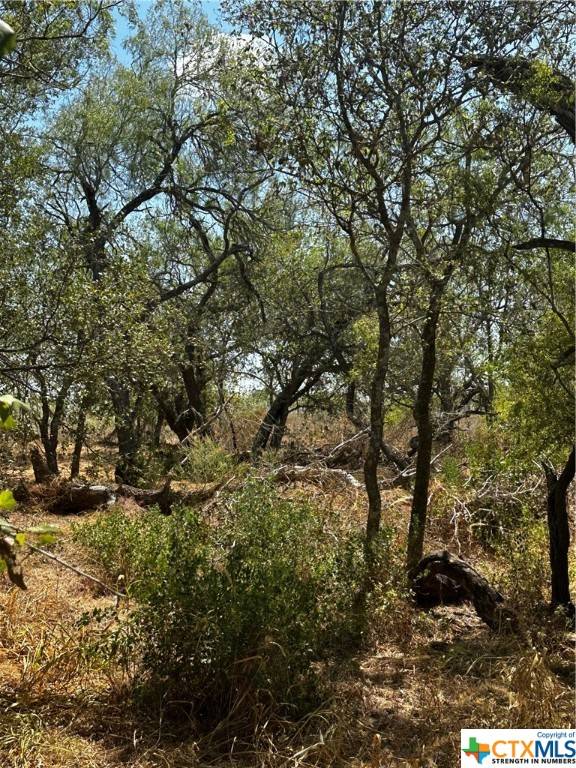 Floresville, TX 78114,5958 County Road 405