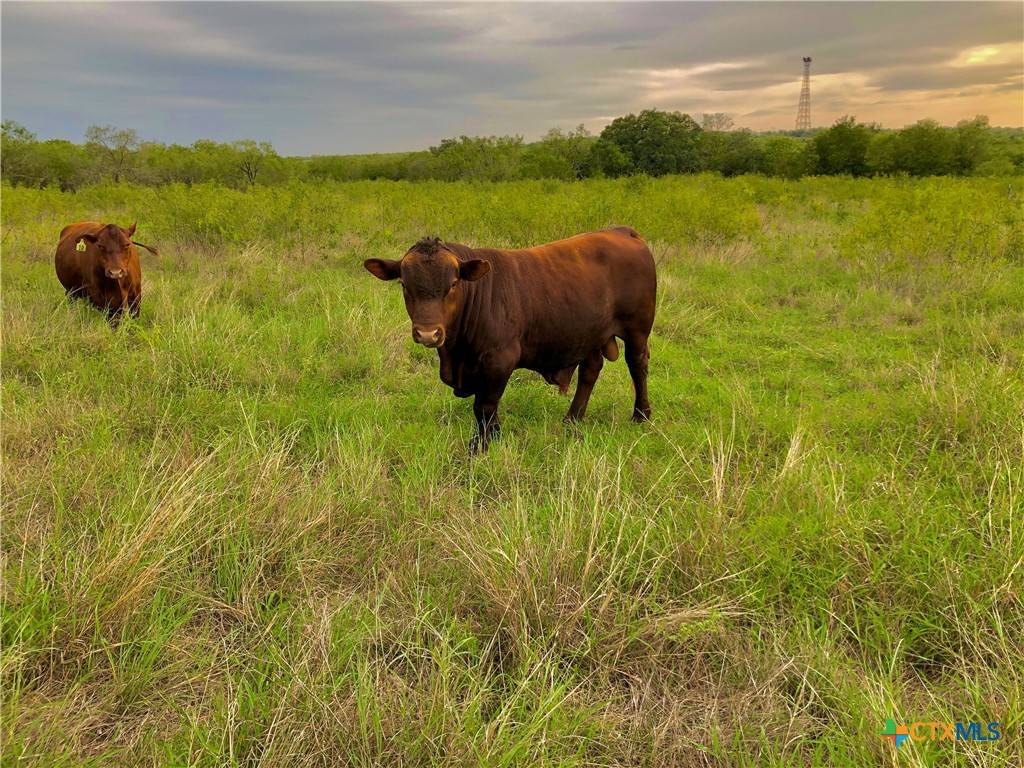 Lockhart, TX 78644,2179 Borchert DR