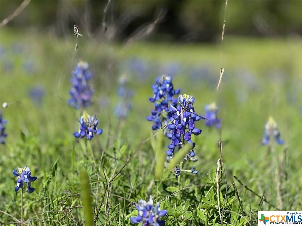 New Braunfels, TX 78132,612 Haven Point LOOP