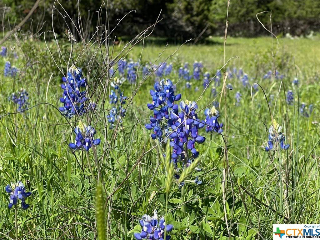 New Braunfels, TX 78132,612 Haven Point LOOP