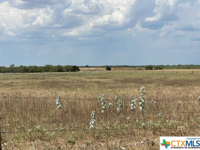 Floresville, TX 78114,06 County Rd 232
