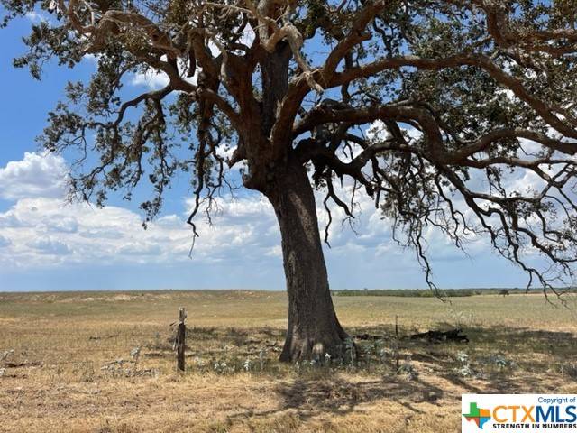 Floresville, TX 78114,07 County Rd 232