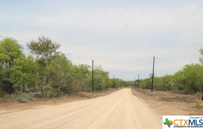 Smiley, TX 78159,Lot 4 Wisteria LN