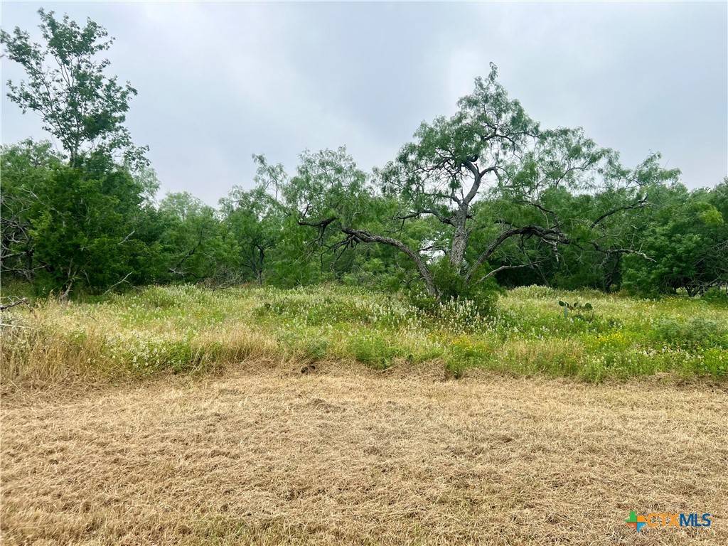 Smiley, TX 78159,Lot 10 Wisteria LN