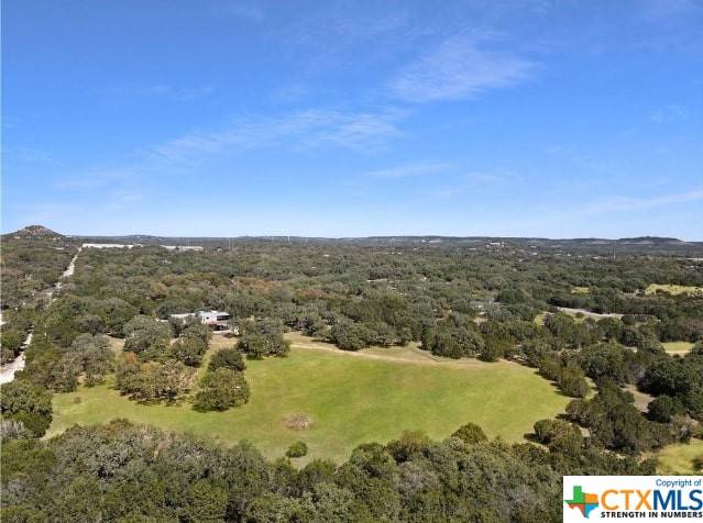 Wimberley, TX 78676,790 Green Acres DR