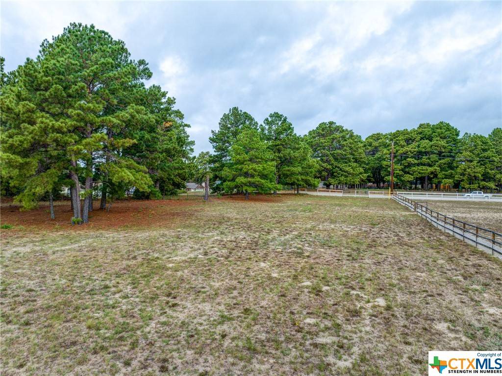 Bastrop, TX 78602,TBD Pine View Loop