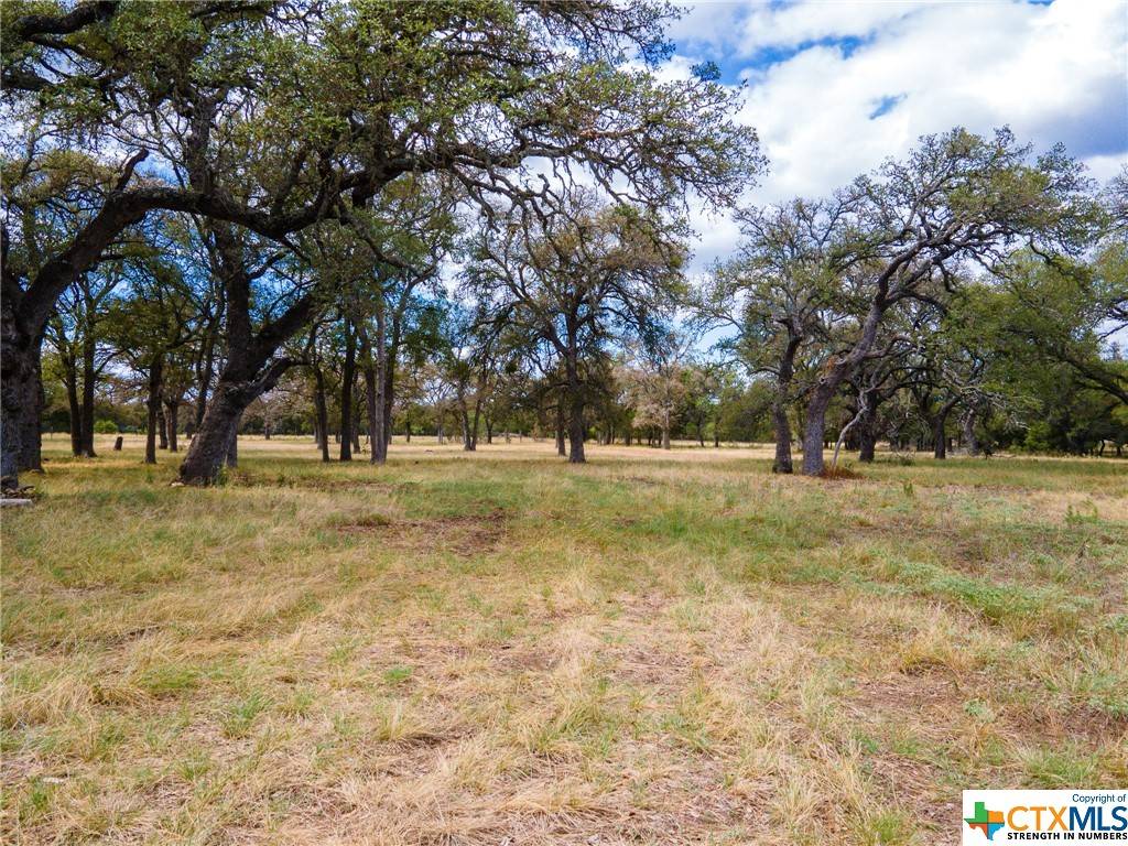 Lampasas, TX 76550,920 Blackbuck Ridge DR