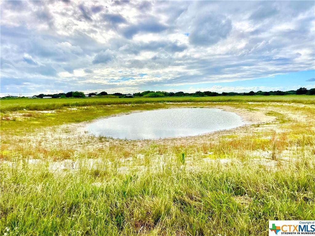 Seadrift, TX 77983,5 Mack Hale RD