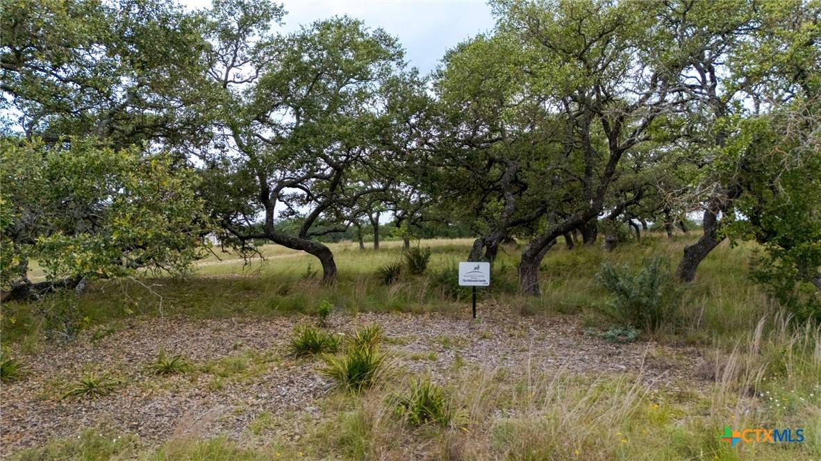 Lampasas, TX 76550,Lot 181 Blackbuck Ridge DR