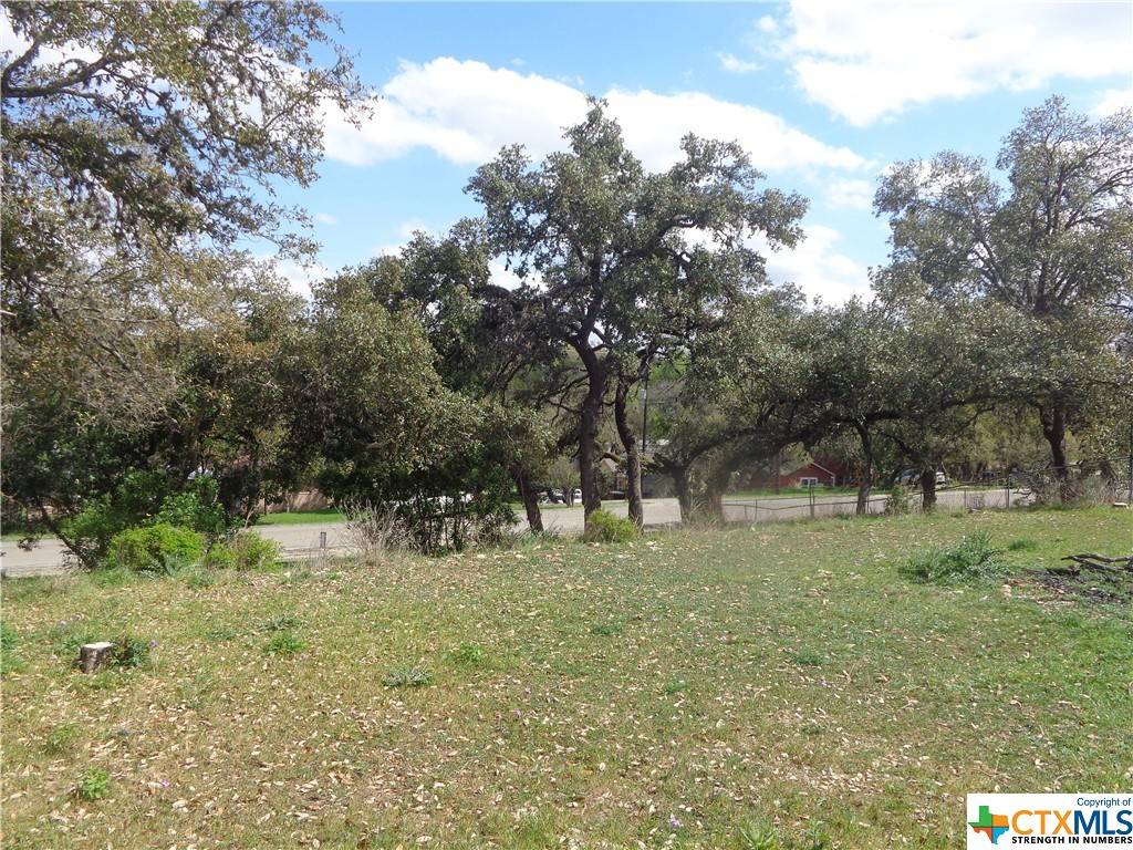 Canyon Lake, TX 78133,1011 Canyon Springs DR
