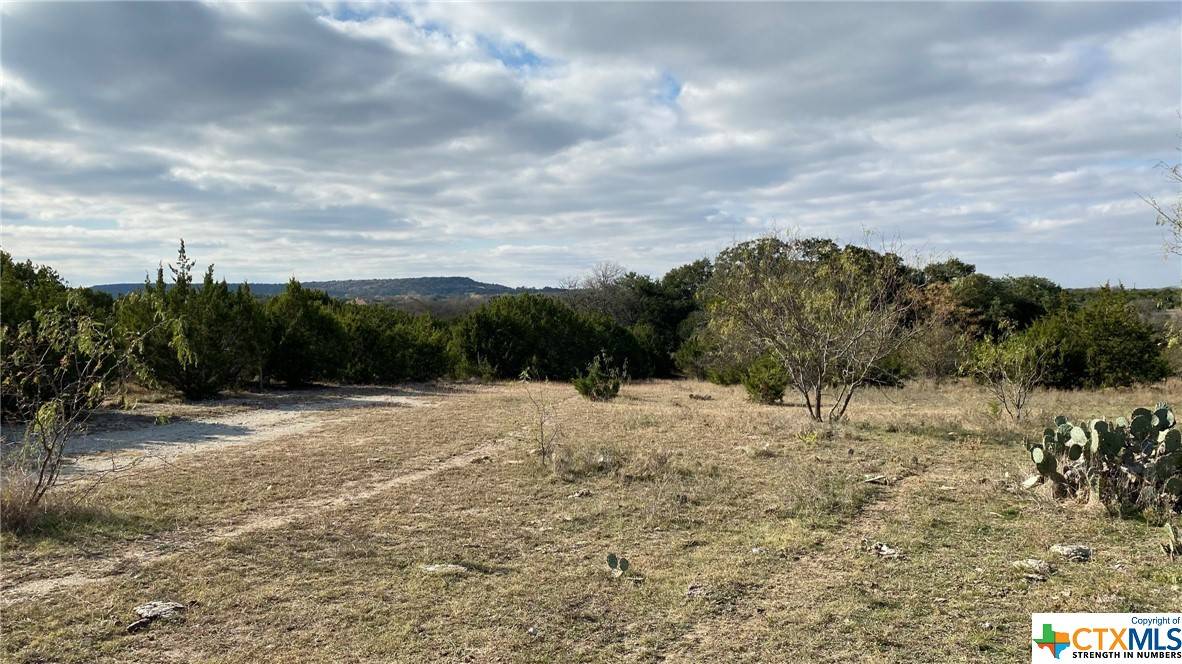 Copperas Cove, TX 76522,123 Acres on Twin Mountain