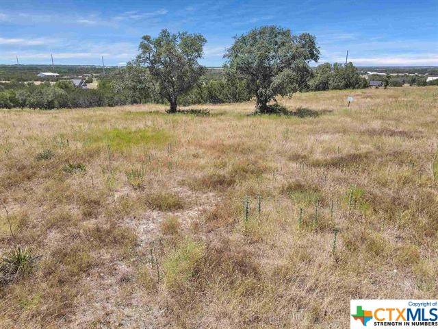 Burnet, TX 78611,Lot 26 Paintbrush LN