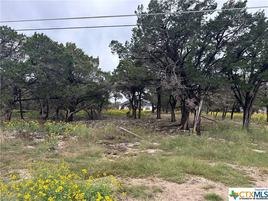Temple, TX 76502,15975 Crockett DR