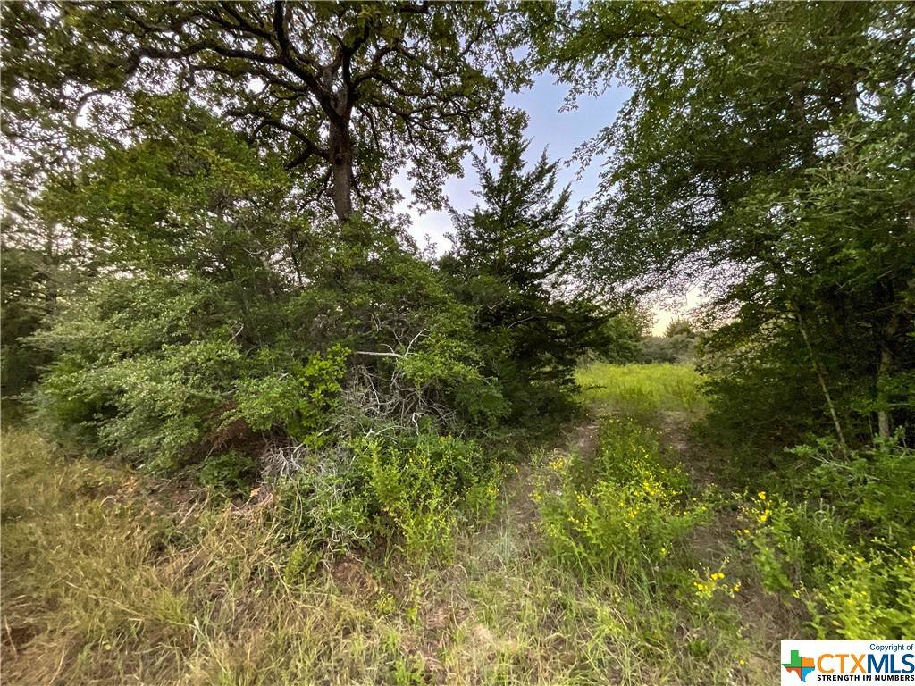 Kosse, TX 76653,TBD HWY 7 and LCR 706 (+/- 229.3 acres)