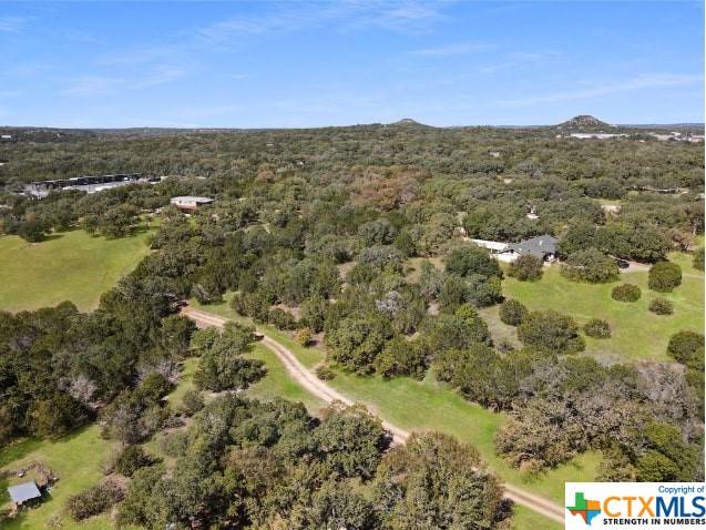 Wimberley, TX 78676,790B Green Acres DR