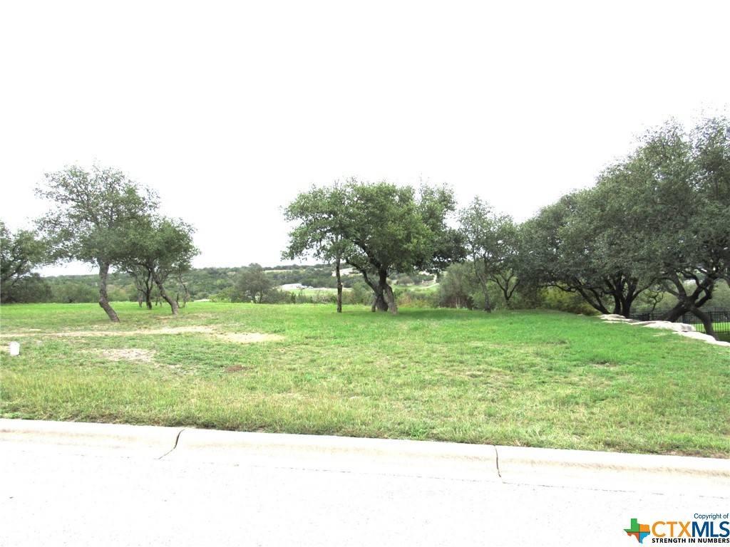 Burnet, TX 78611,212 Dawna Len DR