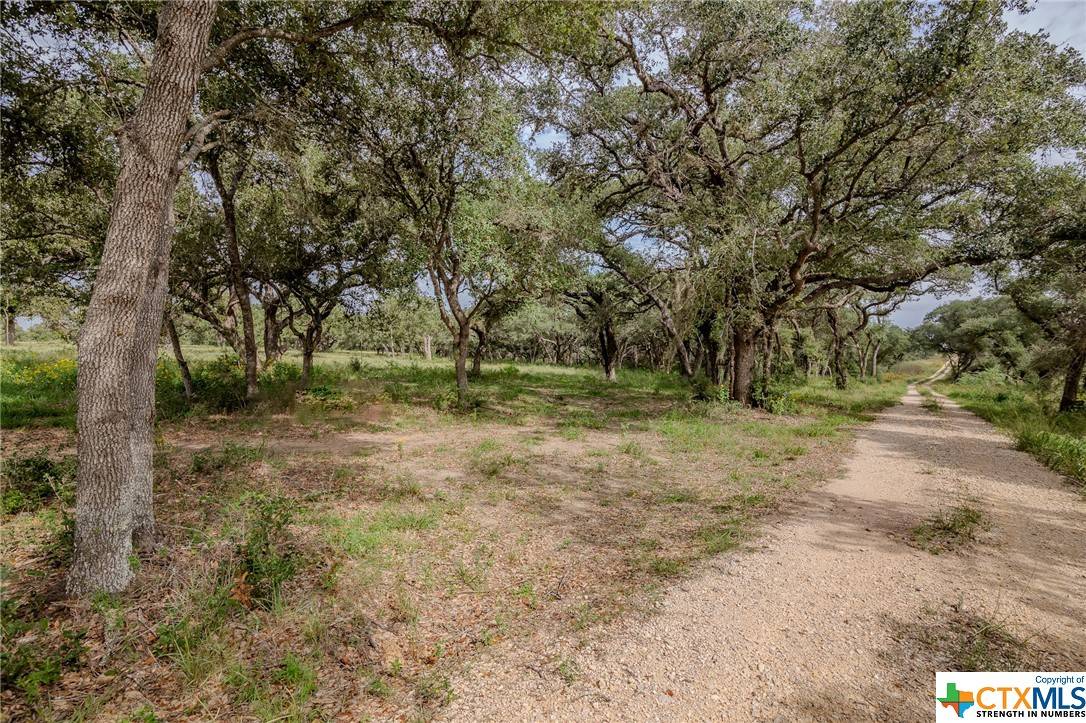 Fannin, TX 77960,000 Quail Run Trail