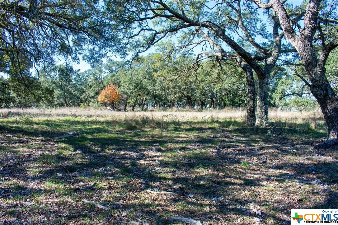 Lampasas, TX 76550,Lot 43 S Waterbuck WAY